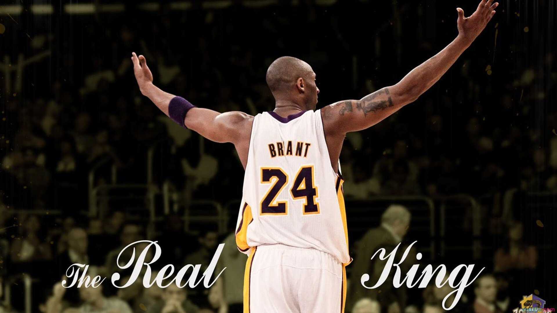 智能化场馆大数据分析实现精细化管理，赛场有序运行，场馆智能化管理系统方案